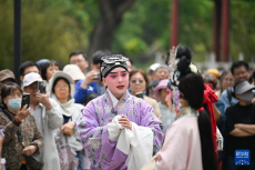 天津：在百年公園邂逅一出好戲