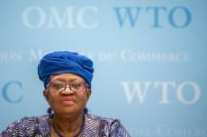 世貿(mào)組織歡迎中美經(jīng)貿(mào)高層會談取得積極成果