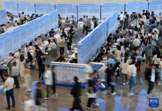 杭州舉辦青年就業(yè)促進(jìn)大會(huì)