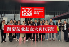 穩(wěn)定拓展出口市場 ?力促湘茶持續(xù)發(fā)展