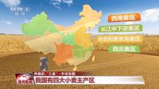 又到一年夏收季！全國(guó)豐收地圖來(lái)了