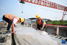 銅陵江北港鐵路專用線建設(shè)取得重大進(jìn)展