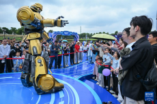 “世界機(jī)器人嘉年華”在武漢舉行