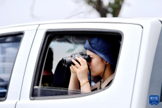 濱海濕地邊的麋鹿守護(hù)者