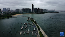 臺(tái)風(fēng)“蝴蝶”在廣東雷州二次登陸