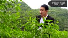 公益路上的“最美志愿者” | 好人劉兵兄弟追記?公益篇