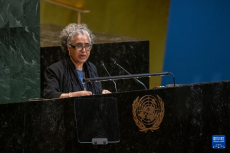 聯(lián)大批準設(shè)立“反對單邊強制措施國際日”