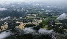 安徽廬江：白云深處山村美