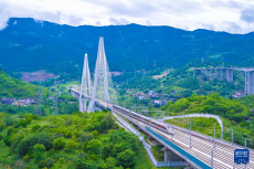 渝廈高鐵重慶東至黔江段開通運(yùn)營(yíng)