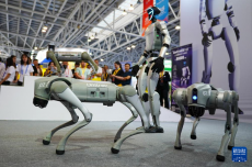 第四屆RCEP區(qū)域（山東）進(jìn)口商品博覽會(huì)在臨沂開幕