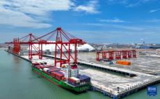 山東：東營(yíng)港專業(yè)化集裝箱碼頭啟用