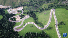 大道通進(jìn)夏牧場