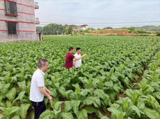 湖南信息學(xué)院藝yang青春學(xué)生團(tuán)隊走進(jìn)衡陽縣官町村調(diào)研
