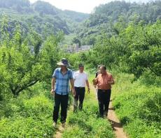 六大河報(bào)道 | 李克明一行到放珠鎮(zhèn)開(kāi)展看學(xué)幫活動(dòng)