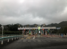 六大河?特寫(xiě)篇 | 百里杜鵑迎來(lái)最美季節(jié)