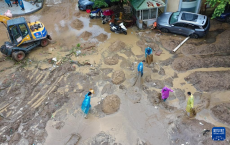 廣東有序開(kāi)展防汛抗洪救災(zāi)工作