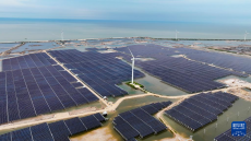 山東東營(yíng)：“油光互補(bǔ)”發(fā)展清潔能源