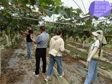 六大河報道 | 劉富金一行調(diào)研指導雨順農(nóng)業(yè)觀光園?