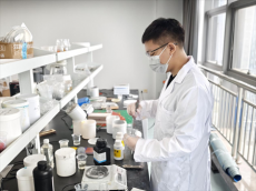 他鄉(xiāng)煉劍·故土礪鋒 ——“歸雁經(jīng)濟(jì)”的衡陽(yáng)樣本