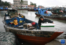 海南：伏季休漁結(jié)束 漁船避風暫緩出海
