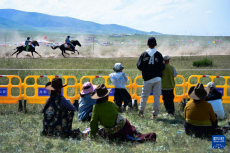 青海湖畔的草原盛會