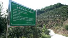 湖南瀘溪：啟動油茶產(chǎn)業(yè)三年計劃 打造億元級綠色產(chǎn)業(yè)鏈