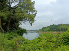 幸福水流長——湖南攸縣寧家坪鎮(zhèn)消災(zāi)水庫工程建設(shè)紀(jì)實