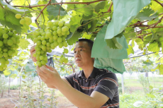 衡陽市皇田村：千年窯火“融”文旅 一方陶土“活”鄉(xiāng)村