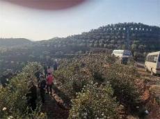 湖南瀘溪華強油茶攜手千戶農(nóng)民共繪鄉(xiāng)村振興新畫卷