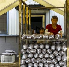 安徽廬江：食用菌生產(chǎn)進(jìn)入黃金季節(jié)