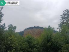 在十萬窩香樟樹的背后：共產(chǎn)黨員劉延超同志追記 