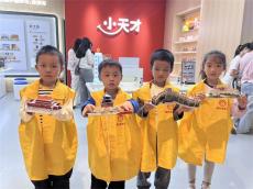 長沙縣舉行“筑夢中國”古建筑拼圖親子活動