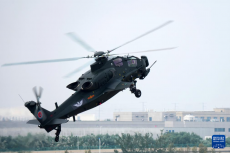 陸軍“風雷”飛行表演隊亮相第七屆天津直博會