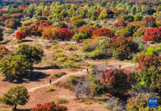 美麗中國丨烏旦塔拉 美如童話