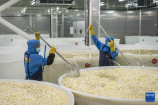 云南鎮(zhèn)雄：山區(qū)產(chǎn)業(yè)園助力鄉(xiāng)村振興