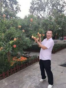 《沉默的榮耀》：于無聲處聽驚雷，向死而生鑄豐碑?