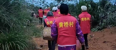 常寧市宜陽(yáng)街道：代表巡山護(hù)“金果” 茶油飄香映初心