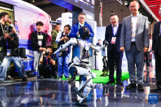 第八屆進博會丨中國館精彩亮相