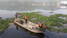 福建永安：“組合拳”治理水葫蘆 守護河道綠水長流