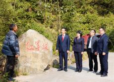 行政司法“組團護綠” 四部門“紅軍林 古樹立“令”護航