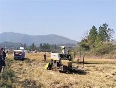 科技賦能秸稈變寶！邵東市舉辦秸稈綜合利用現(xiàn)場(chǎng)演示會(huì)