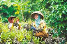 機遇?？? /></a>
                                <div   id=