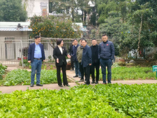 岳陽市社科聯(lián)深入基層調(diào)研，助推學(xué)校勞動教育工作發(fā)展