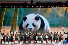 2025全球熊貓伙伴大會開幕