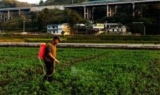 貴州畢節(jié)土著益生菌種植酵素已在全國17個(gè)省示范推廣