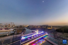 上海：平轉(zhuǎn)式開啟橋亮相