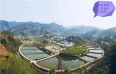 特別篇丨貴商的“太極”符號(hào)：共產(chǎn)黨員張萬登同志追記