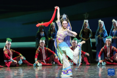 新版《絲路花雨》舞動(dòng)金城蘭州