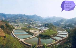 特別篇丨貴商的“太極”符號(hào)：共產(chǎn)黨員張萬登同志追記