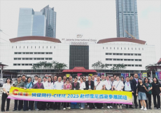 依托國際電商平臺 ?拓展東盟出口市場 ?